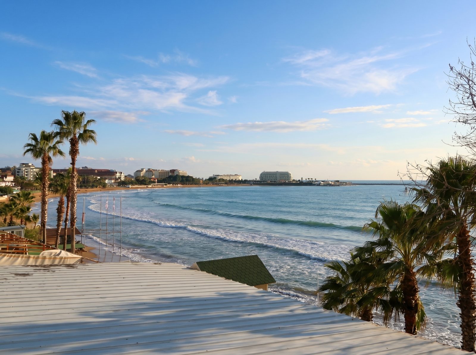 Strand mit Palmen in Avsallar